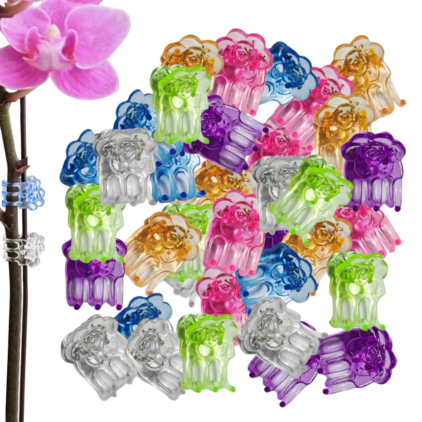 Orchid Potting Mix - Зажимы для орхидей, 60 штук, в