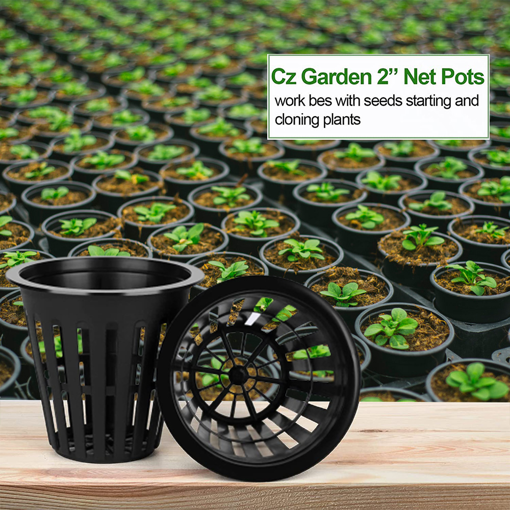 Orchid Potting Mix - 2-дюймовые садовые горшки, сетчатые чашки для