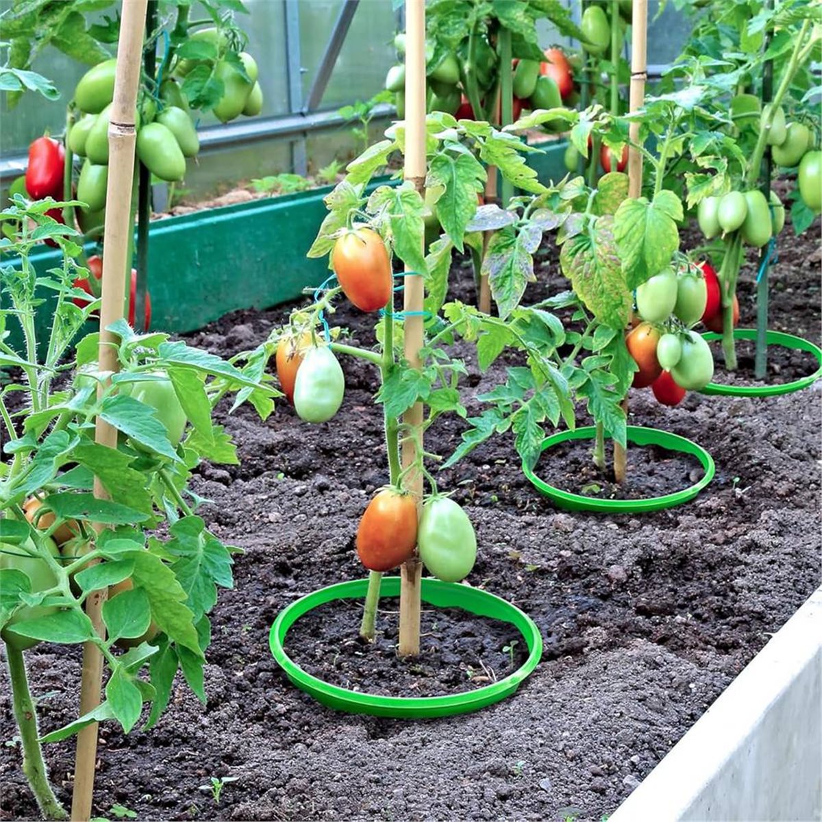 АКЦИЯ: 4 защитных кольца для р – обзор и цена Gardening Tools Deals