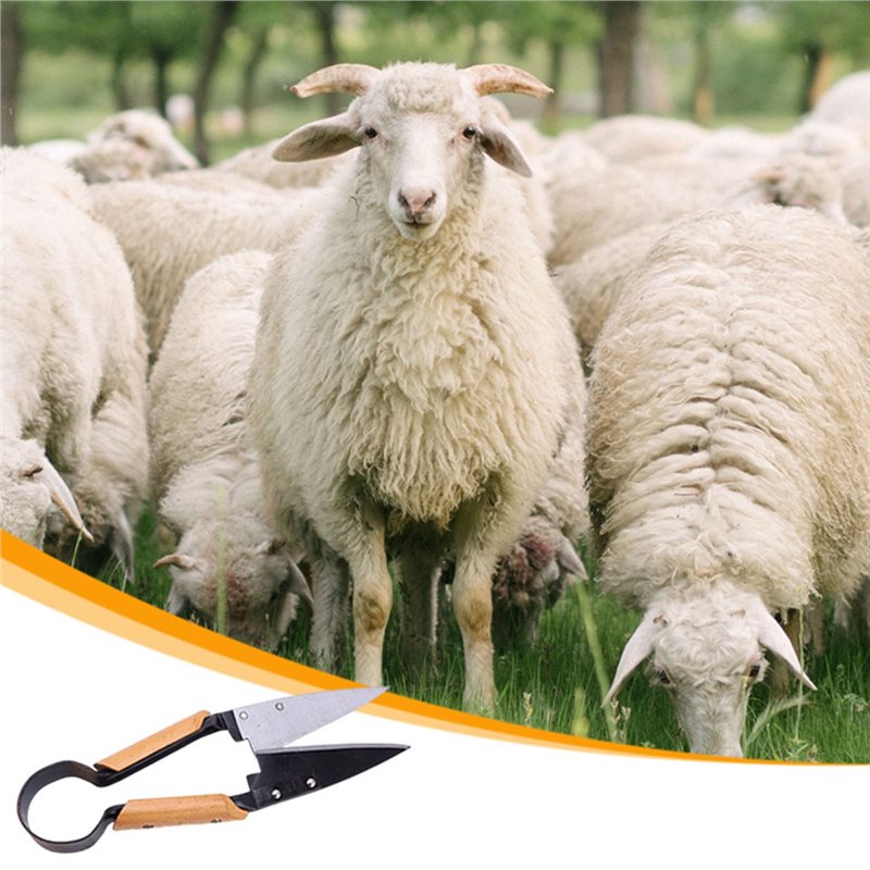 【ГОРЯЧЕЕ ПРЕДЛОЖЕНИЕ】Усиленные – обзор и цена Gardening Tools Deals