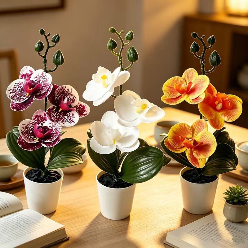 Мини-орхидея-бабочка в горшке  – обзор и цена Orchid Potting Mix