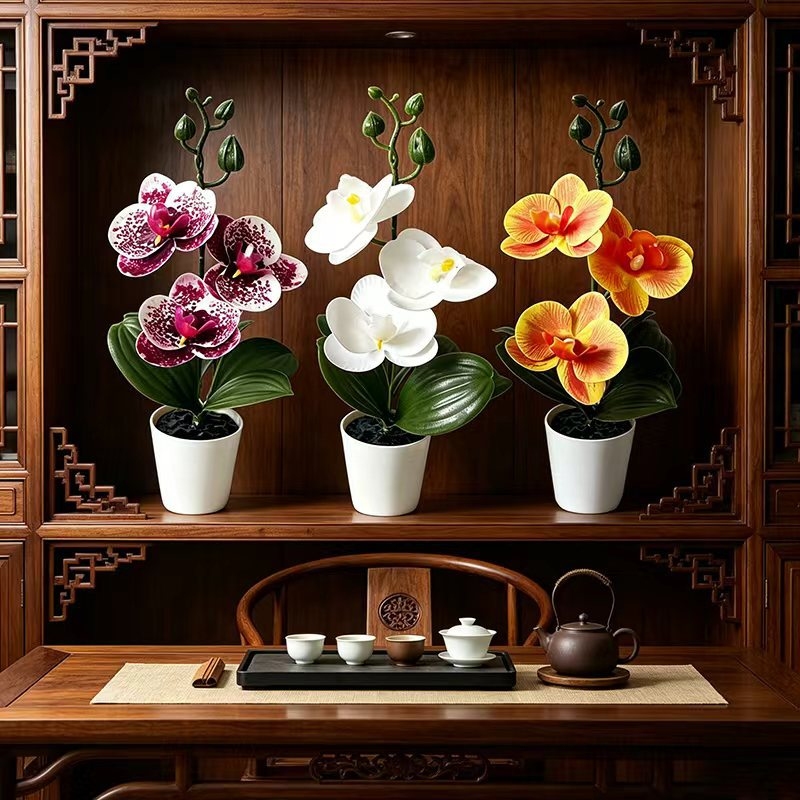 Мини-орхидея-бабочка в горшке  – обзор и цена Orchid Potting Mix