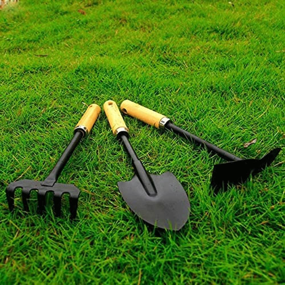 Мини-лопатка, набор из трех са – обзор и цена Gardening Tools Set Gift