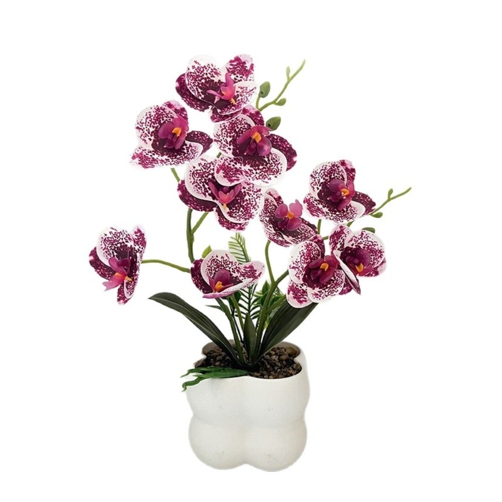 Искусственная орхидея-бабочка  – обзор и цена Orchid Potting Mix