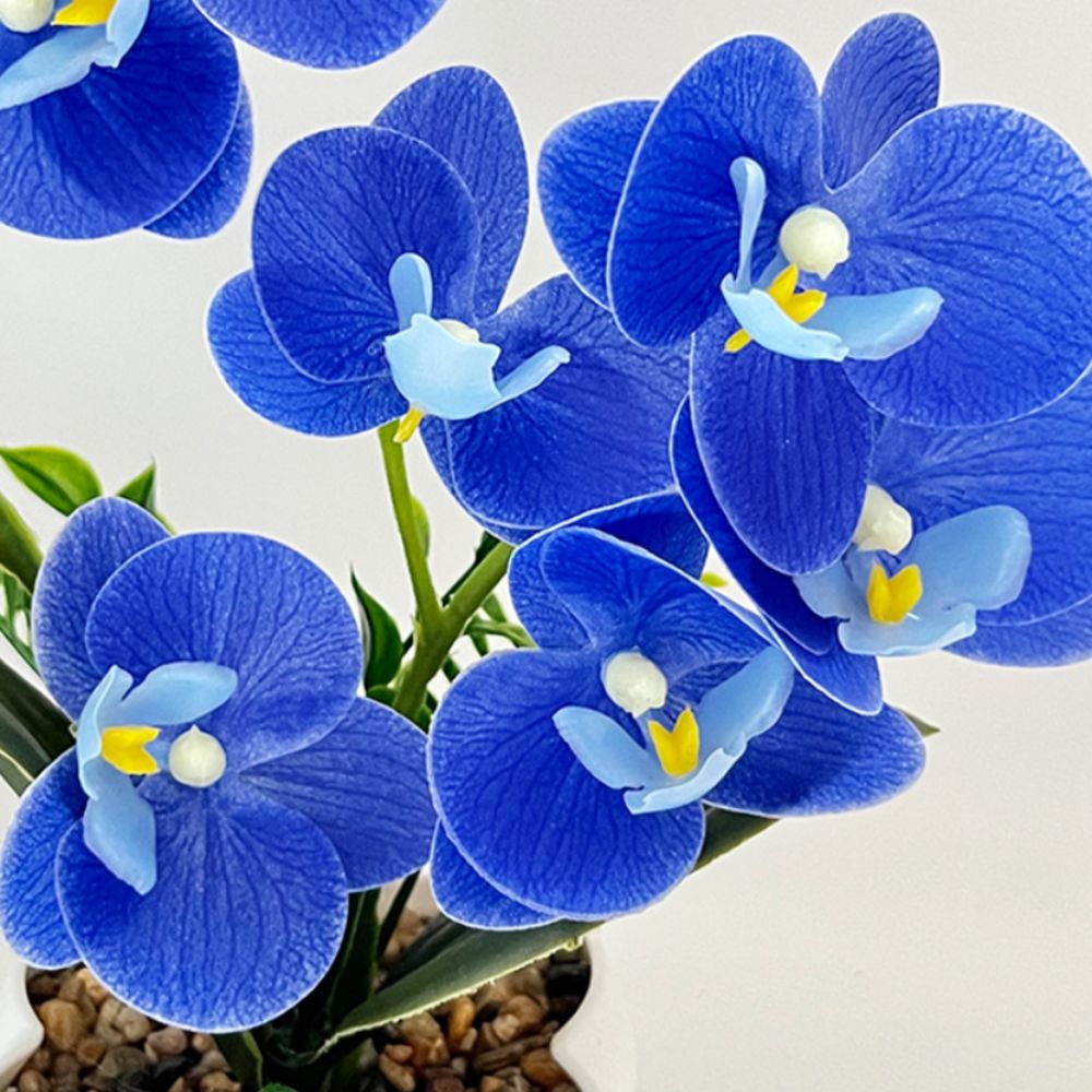 Искусственная орхидея-бабочка  – обзор и цена Orchid Potting Mix