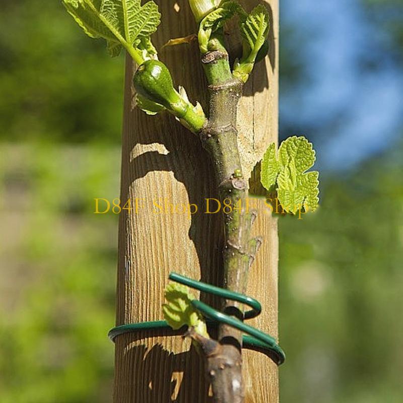D84F 2,5 мм x 10 м зеленая мяг – обзор и цена Garden Wire Twist Tie