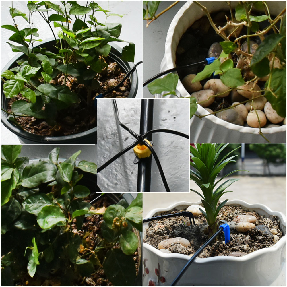 Набор капельного орошения с из – обзор и цена Root Watering Spike