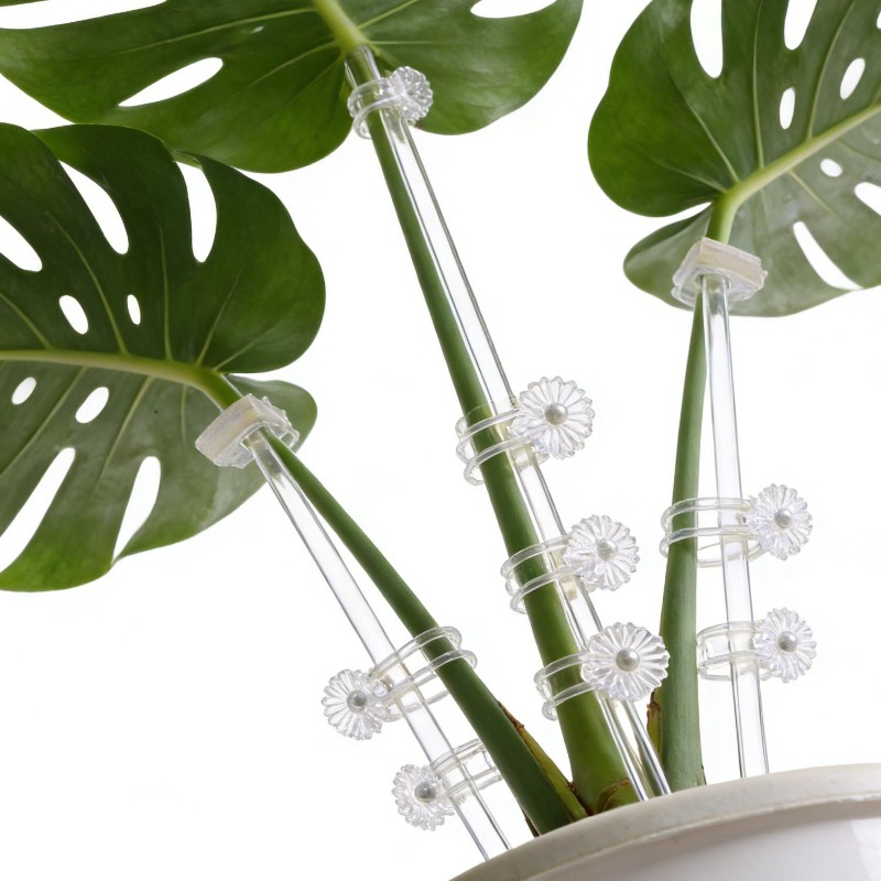 Многоразовые прозрачные акрило – обзор и цена Orchid Potting Mix