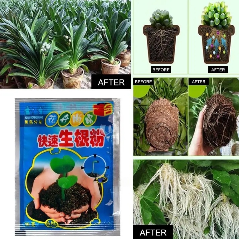 5 шт., порошок для быстрого ук – обзор и цена Root Watering Spike