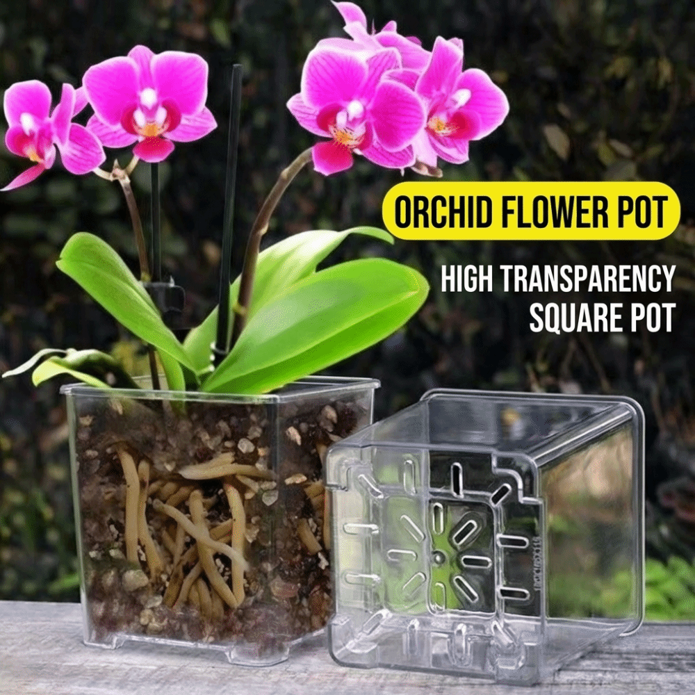 Набор из 5 прозрачных пластико – обзор и цена Orchid Potting Mix